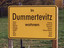 Dummertevitz