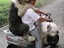 Mit den Hunden Gassi gehen