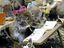 M&auml;use in der Schule