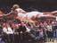 Dennis Rodman fliegt