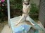 Hund aufn Dach