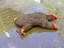 Besoffener Teddy