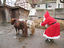 Was tut der Weihnachtsmann im Sommer?
