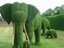 Buschelefant