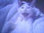 Grinsende Katze