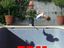 Pool ohne Wasser
