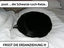Schwarze Loch Katze