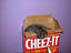 Katze in der Box