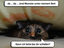 Monster unter dem Bett