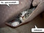 Katze braucht Hilfe