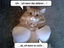 Katze in Unterw&auml;sche