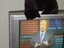 Unsinn im TV