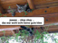 Dachversteck