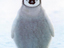 Ungl&uuml;cklicher Pinguin