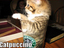 Catpuccino