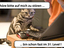 H&ouml;chstkonzentrierte Katze