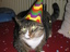 Silvester Kater