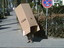 Kind im Karton