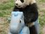 Panda auf dem Spielplatz