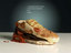 Burger Schuh