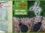 Super Sonderangebot