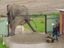 Elefant hat Durchfall