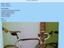 Billiges Fahrrad