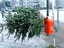 Tannenbaum entsorgt
