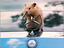 Steuerhamster
