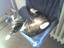 Chiller Katze
