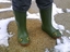 Froschstiefel