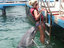 Frecher Delphin