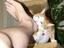Von wegen in China essen sie Katzen