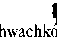 Schwachkopf