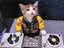 DJ Katze