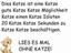 Katzen