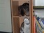 Katzenregal
