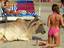 Netter Partner am Strand