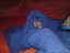 Kater spielt verstecken