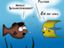 Fisch mit neuer Frisur