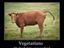 Vegetarier