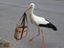 Storch beim Einkaufen