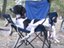 Chillender Hund