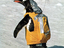 Pinguin-Rucksack