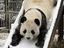 Panda-Rutsche