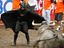 Batman vs Stier