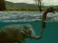 Nessy der Elefant