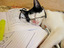 Mathekatze