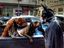 Batman und die coolen Hunde