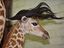 Giraffen-Elvis